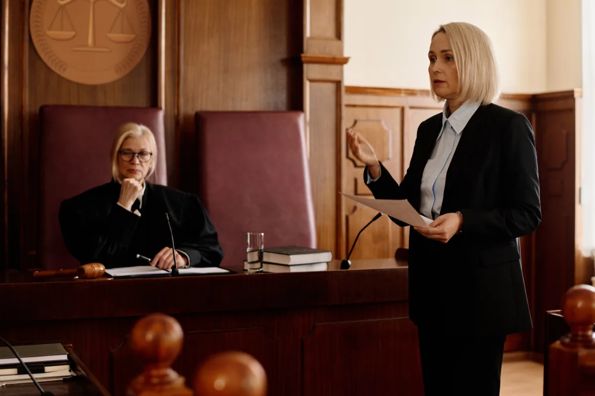 A lawyer presenting an argument in a courtroom with a judge listening from the bench.