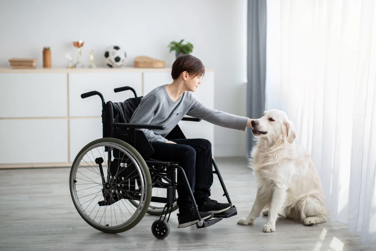 A boy in a wheelchair joyfully petting a dog.
Keywords: wheelchair, petting
