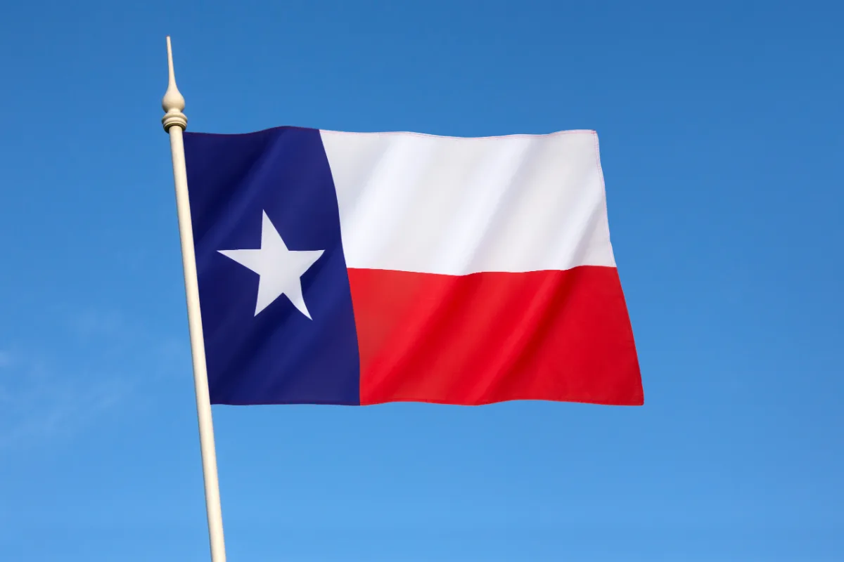 The Texas Assault Lawyer flag waving against a clear blue sky.